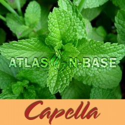 Capella Spearmint - 10 ml Dolum Aroma